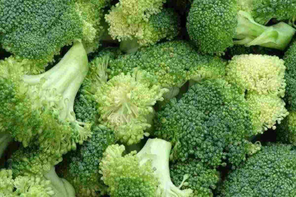 استفاده از کلم بروکلی در رژیم غذایی رژیم وحشتناک لاغری سریع