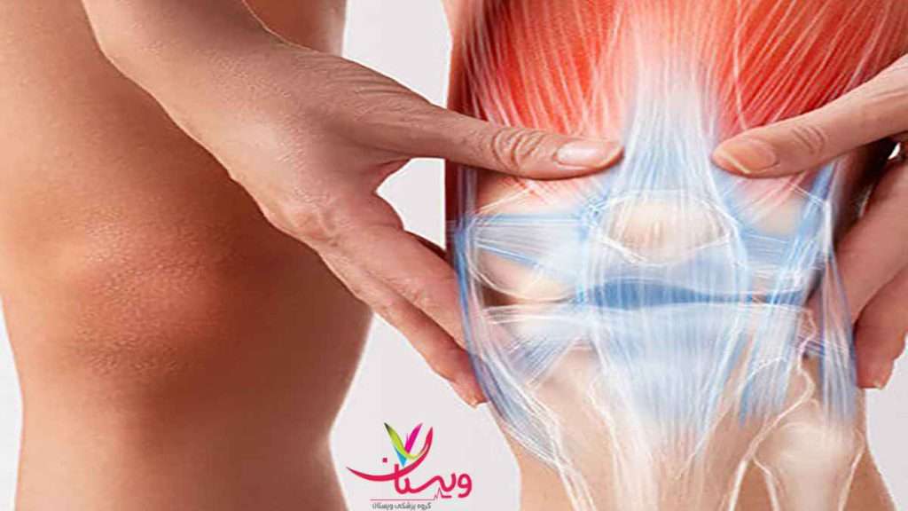 مرکز پی ار پی مرکز پی ار پی زانو