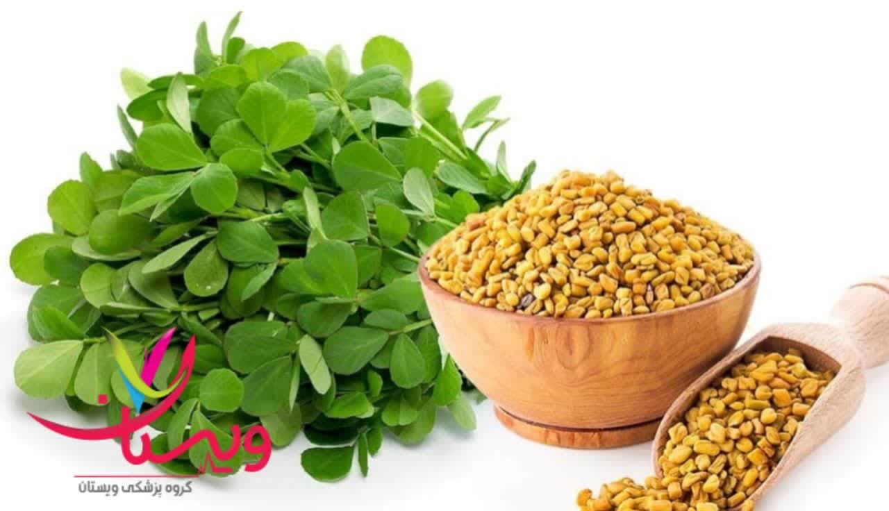 شنبلیله یک داروی گیاهی برای لاغری