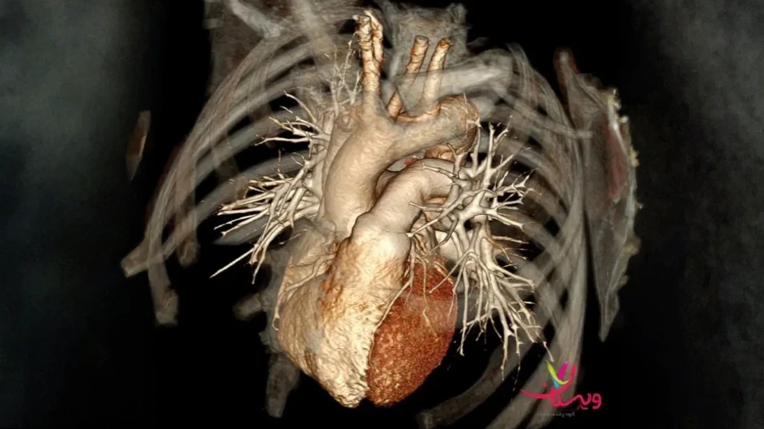 نمایی از قلب