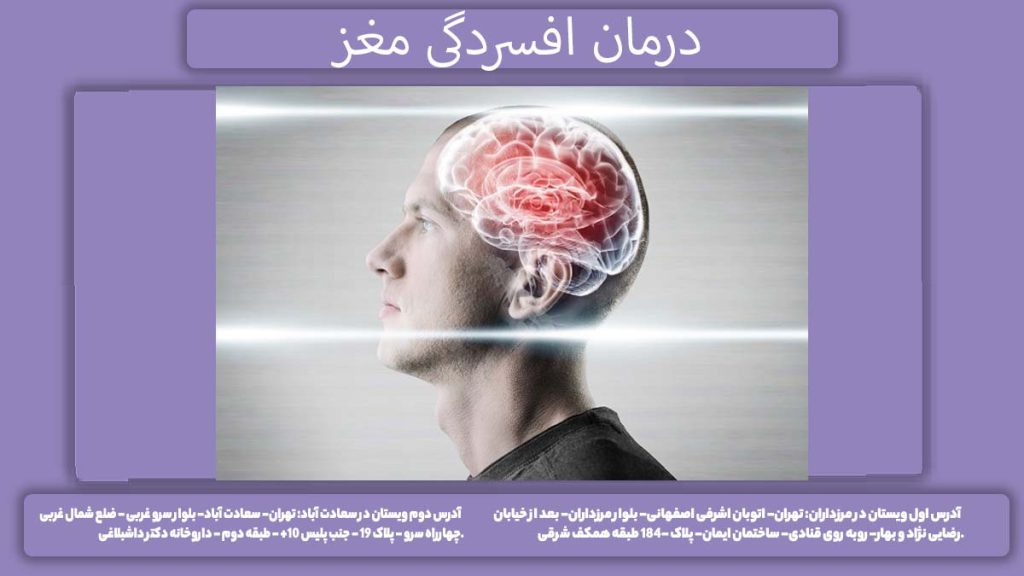 مداوای مغز افسردگان درمان افسردگی مغز